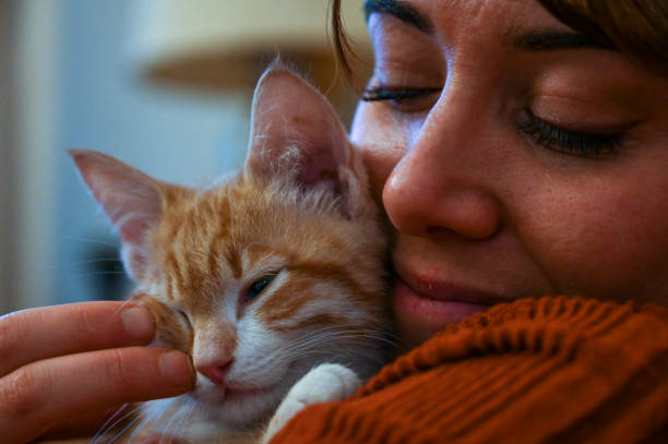 istock Gatto affettuoso 1361916864