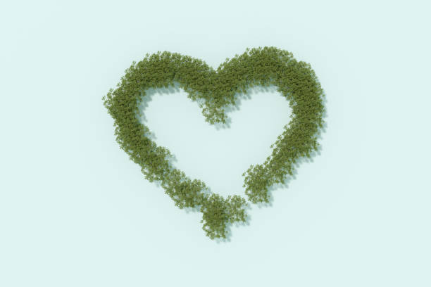 istock Heart shaped forest, climate change, ecology concept 1361919027