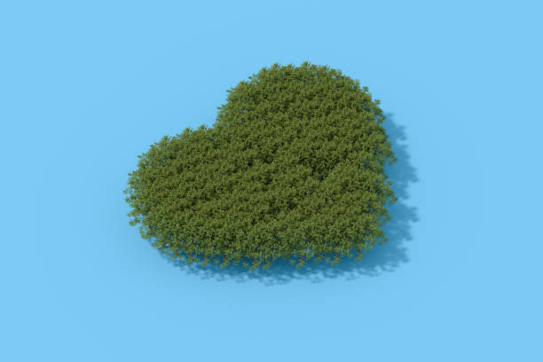 Heart shaped forest, climate change, ecology concept