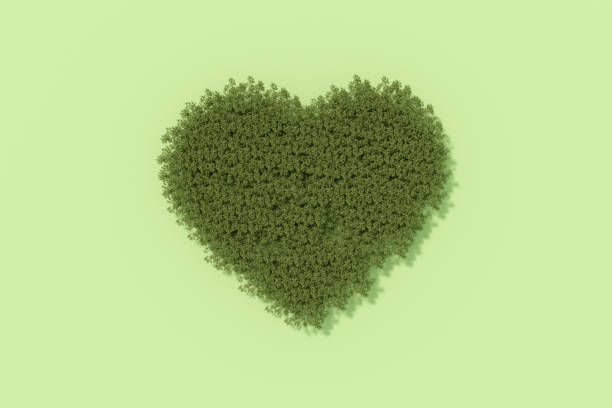 istock Heart shaped forest, climate change, ecology concept 1361919448