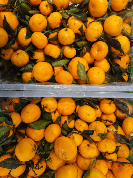 istock Pile of mandarin orange 1361919597