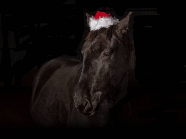 istock Santa Christmas Horse: Full Body Frontal View. 1361922287