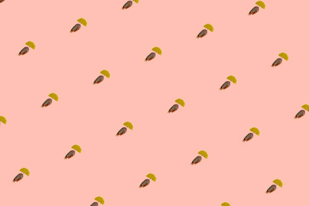 Boiled shrimp with lemon isolated. Food template for design. A sample of boiled shrimp on a pink background.