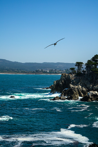 View of the Monterey Bay from the Point Lobos State Natural Reserve