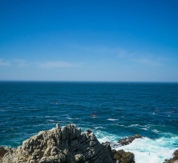 istock Beautiful day at the Point Lobos State Marine Conservation Area 1361929998
