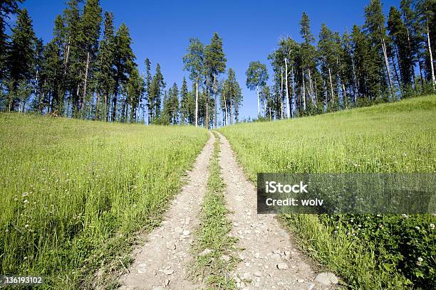 High Road Eins Stockfoto und mehr Bilder von Anhöhe - Anhöhe, Baum, Extremlandschaft