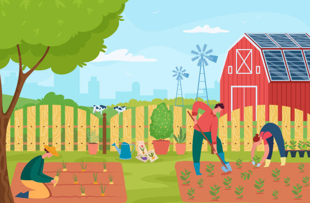 People working at house garden, gardening and growing People working at house garden, gardening and growing. Vector house garden, agriculture hobby, home farm outdoor illustration backyard background stock illustrations