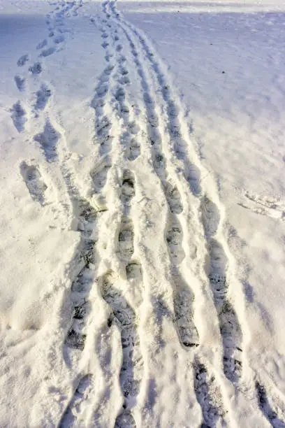 Footprint in the snow in Burien, Washington.