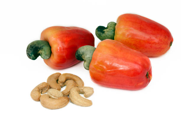 istock Cashew, fresh and its nut, under white background 1361936240