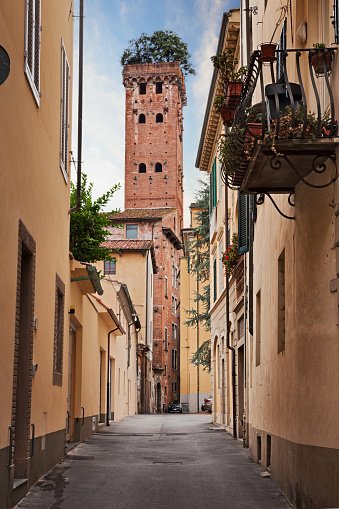 Lucca, Tuscany, Italy: view of the medieval Guinigi Tower, with the trees (holm oaks) on top, from a narrow alley in the old town of the ancient city