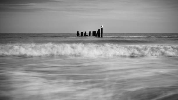 istock waves and old sea defences- mono i 1361938441