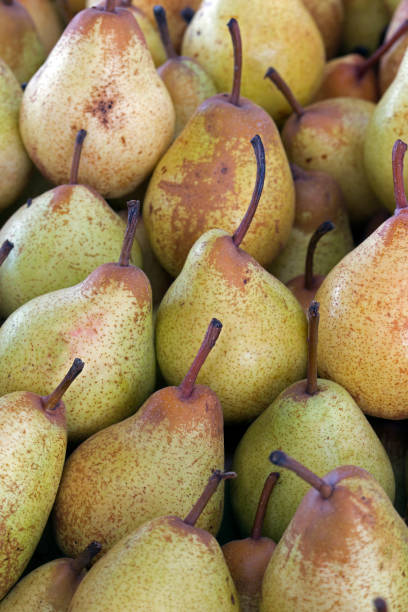 istock Pear exposed on the market shelf 1361939046