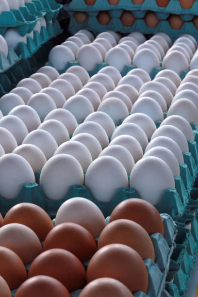 istock Carton of white and brown eggs 1361940033
