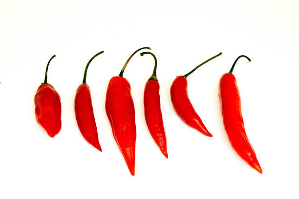 istock Brazilian Red Pepper on white background 1361940166