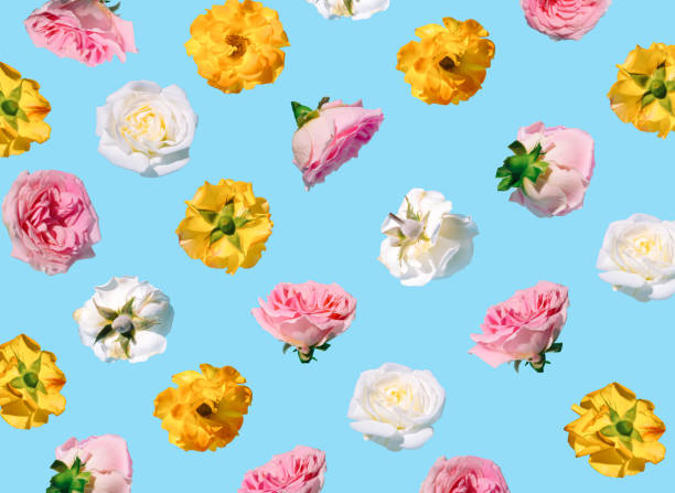 istock Creative pattern made with colorful flowers on blue background. Minimal spring concept. Valentines Day or 8 March idea. Idea for Mother's Day. 1361940204