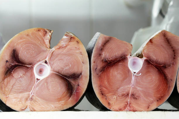 istock Tuna steak closeup on fishmonger shelf 1361940292