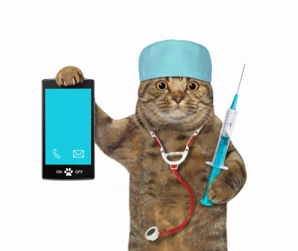 istock Cat holds syringe and smartphone 1361940913