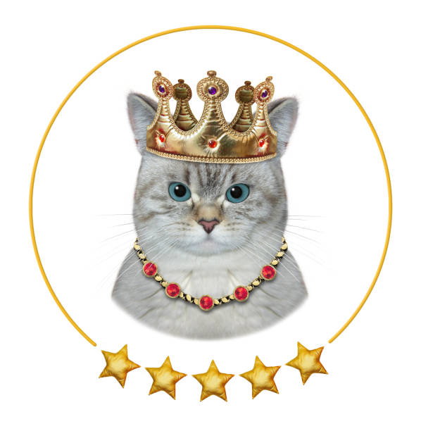 istock Cat ashen king in golden crown 1361940915