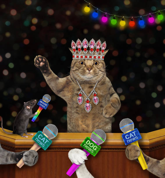 istock Cat gives interview to press 3 1361940916
