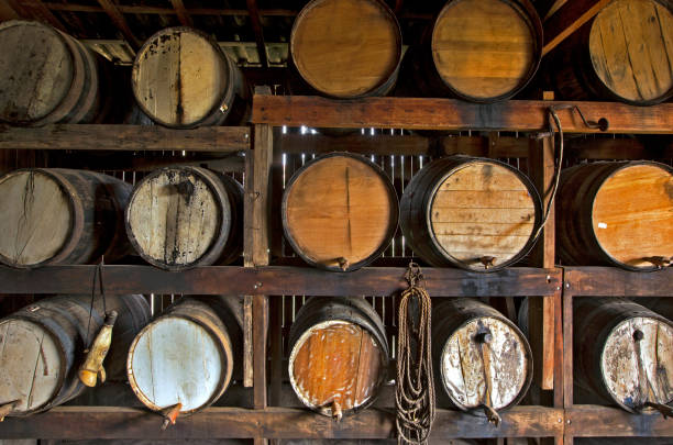 istock Sugarcane liquor, or cachaca, resting in cask 1361941183