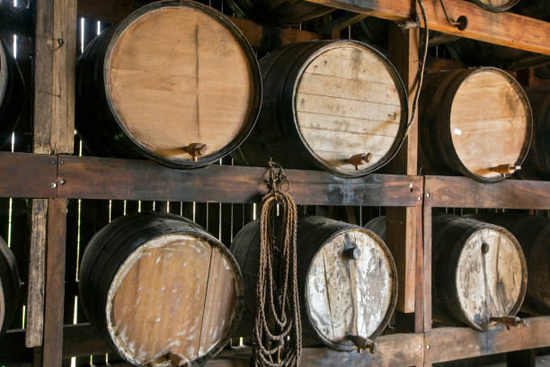 istock Sugarcane liquor, or cachaca, resting in cask 1361941222