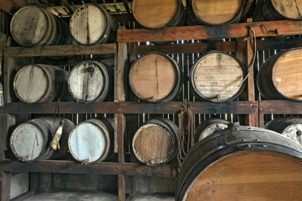 istock Sugarcane liquor, or cachaca, resting in cask 1361941242