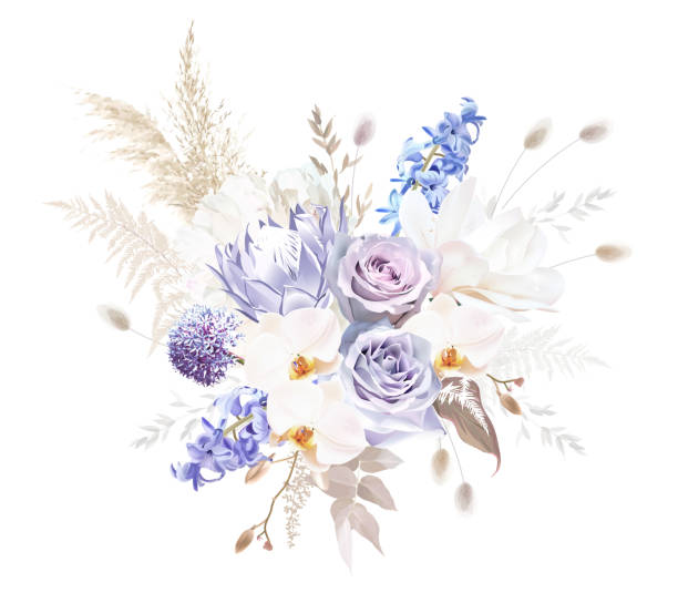 옅은 보라색 장미, 먼지가 많은 모브와 라일락 히아신스, 알륨, 화이트 목련, 난초, 라구루 - lavender dried plant lavender coloured bunch stock illustrations