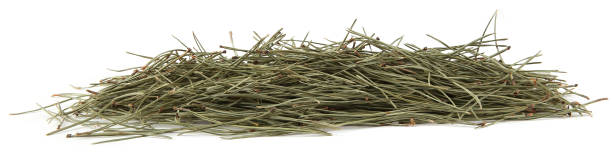 istock Pile of pine needles isolated on white background. 1361943116