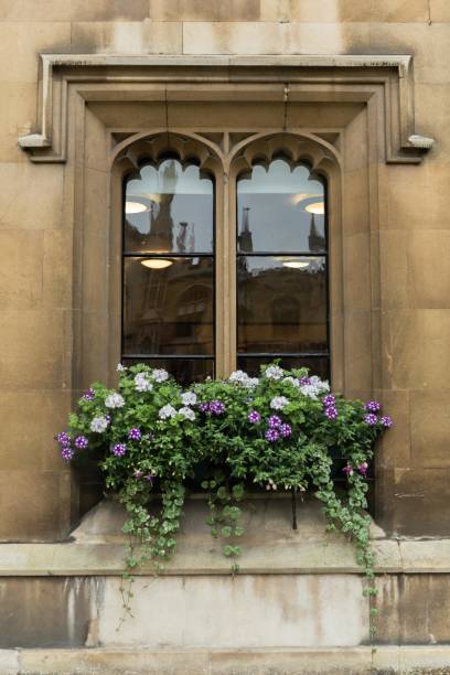 istock Cambridge Window With Flowers 1361944198