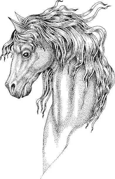 Vector illustration of Horse portrait vector illustration