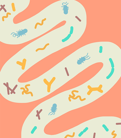 Vector Illustration of intestines with bacteria