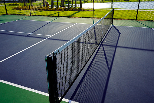Close up of a pickleball court and net in a tropical setting.