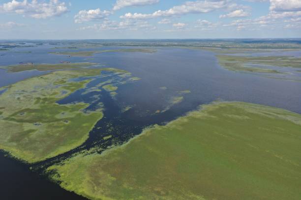 istock Eutrophication of the Dnipro river 1361953374