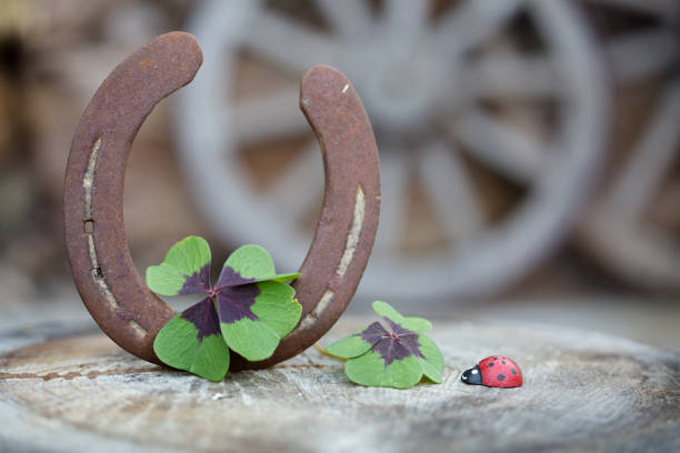 symbols of good luck - four leaf clover clover luck leaf imagens e fotografias de stock