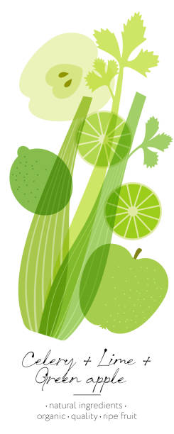 ilustrações de stock, clip art, desenhos animados e ícones de fruit, herb and vegetables detox. apple, lime and celery mix. beautiful transparency whole and cut fruits. - healthy eating food and drink nutrition label food