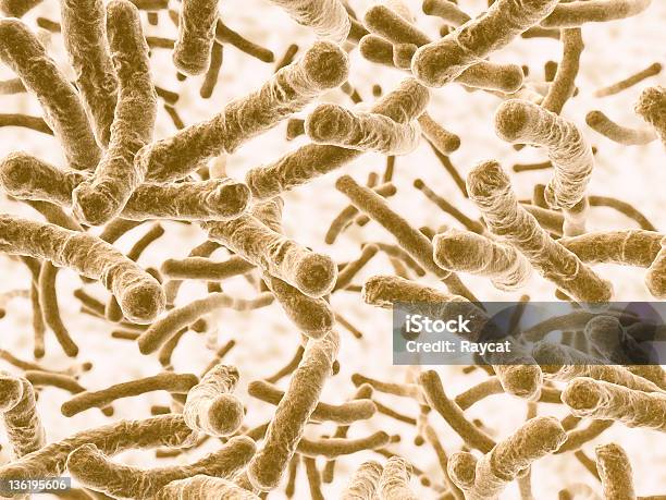 Photo libre de droit de Bactéries Qui Coule banque d'images et plus d'images libres de droit de Bacillus Subtilis - Bacillus Subtilis, Bactérie, Biologie