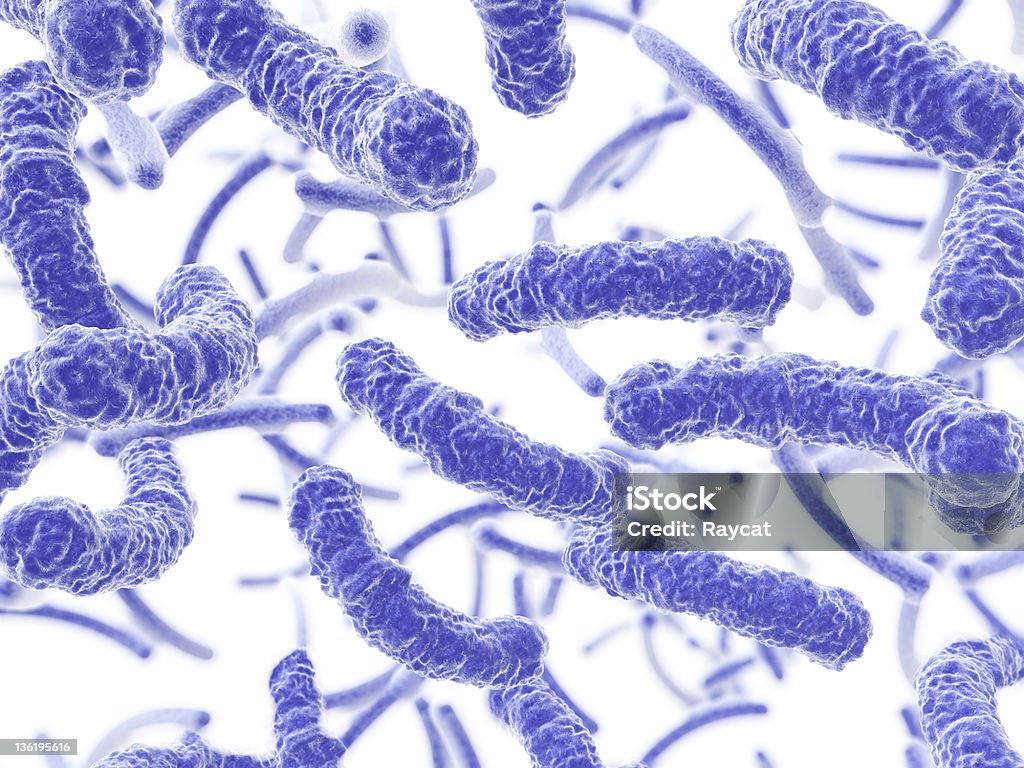 バクテリア流れる - 大腸菌のロイヤリティフリーストックフォト