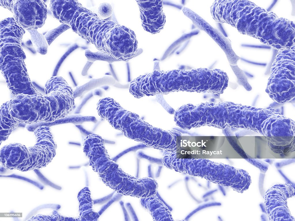 Bactérias Fluir - Royalty-free E. coli Foto de stock