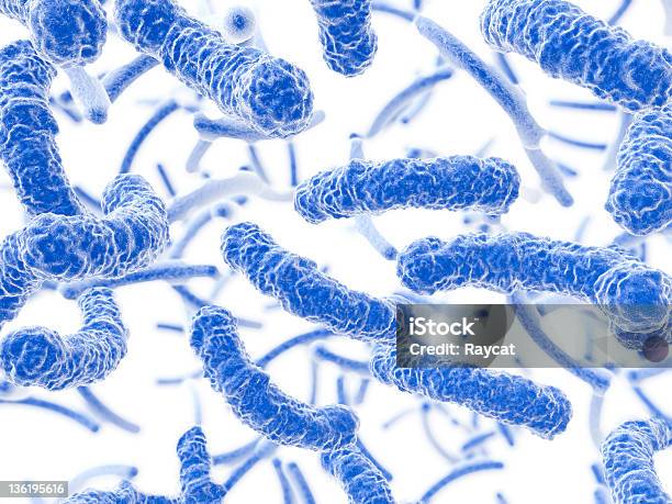 Bactérias Fluir - Fotografias de stock e mais imagens de E. coli - E. coli, Bactéria, Fundo Branco