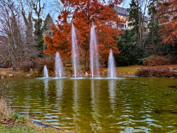 istock Green pond with a fountain 1361961754