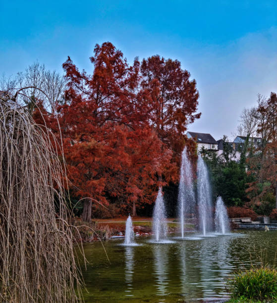 istock Idyllic park in autumn 1361961808