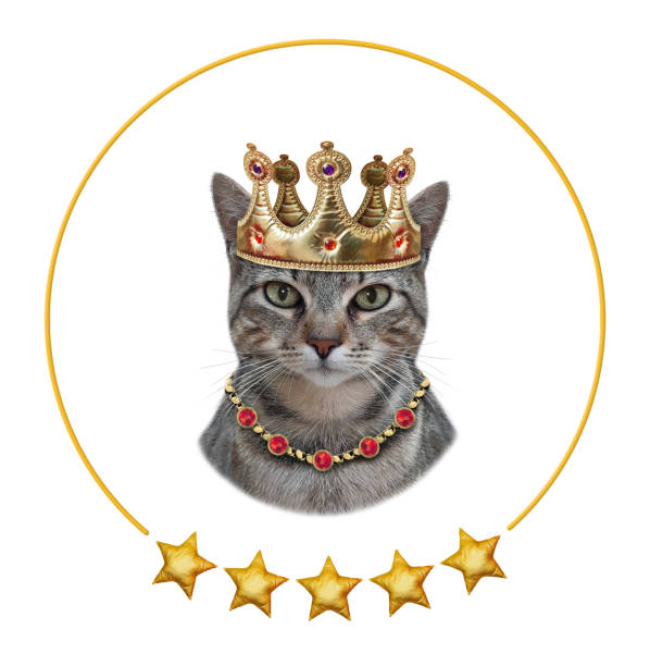 istock Cat gray king in golden crown 1361961909