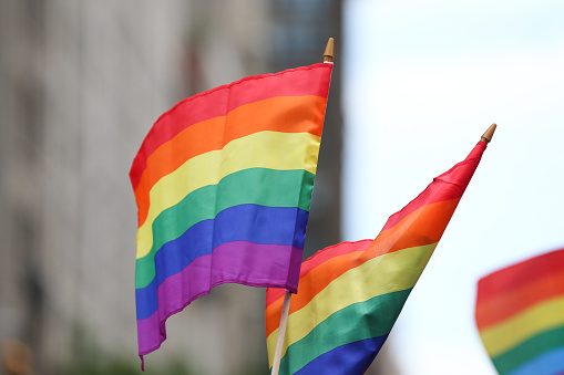 Rainbow flags are seen during the Pride parade in New York City, US.