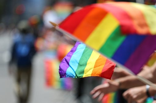 Rainbow flags are seen during the Pride parade in New York City, US.