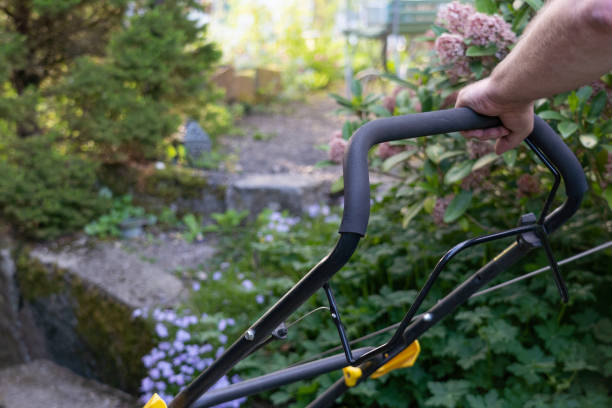 istock Hands of man pushing lawnmower through small backyard in spring. 1361964076