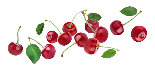 Ripe cherries flying on white background, banner design