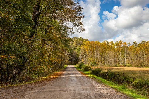 A rural dirt road in Ashtabula County, Ohio during the Autumn leaf color change.