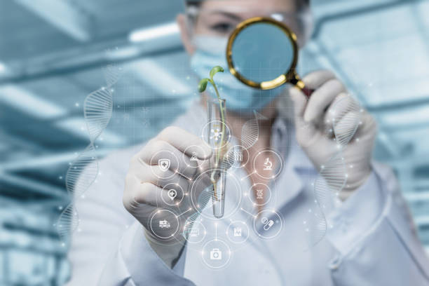 istock Concept of conducting scientific research with plant samples . 1361968219