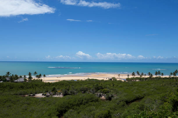 istock Trancoso beach under the blue summer sky 1361969219