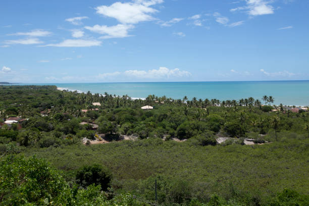 istock Trancoso beach under the blue summer sky 1361969242